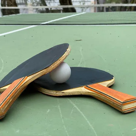 Stella Alpina Hotel Malcesine